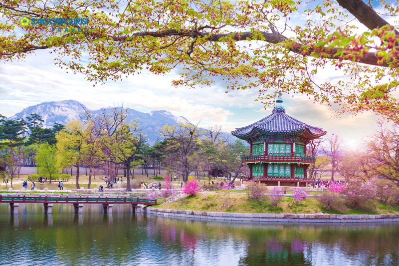 Khuyến mại nhân dịp khai trương